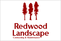 Redwood Landscape